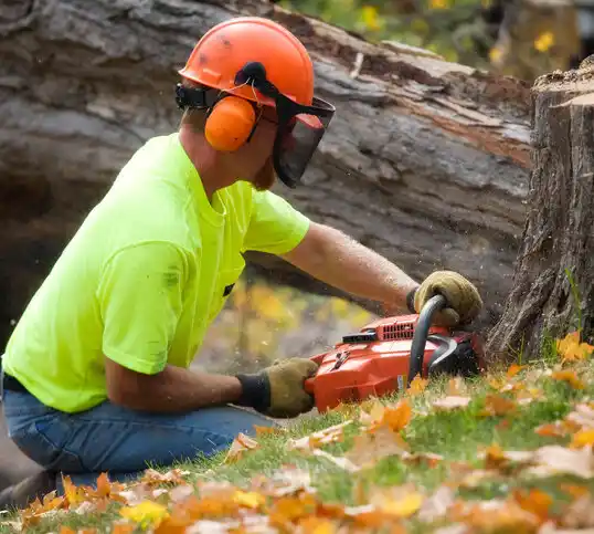 tree services North Wantagh